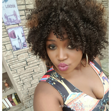 AiShiLi Hair Factory Wholesale  Short Curly Wigs Afro Synthetic Hair for Black Women